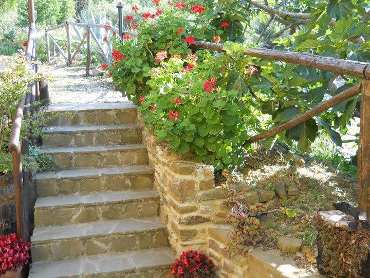 Casale San Martino Bed & Breakfast Laureana Cilento Ngoại thất bức ảnh